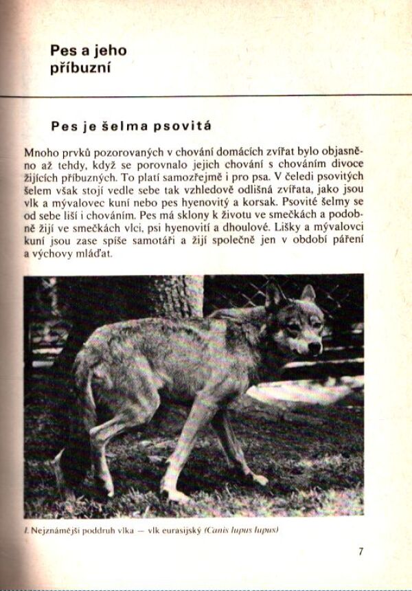 Vladimír Mikulica: POZNEJ SVÉHO PSA