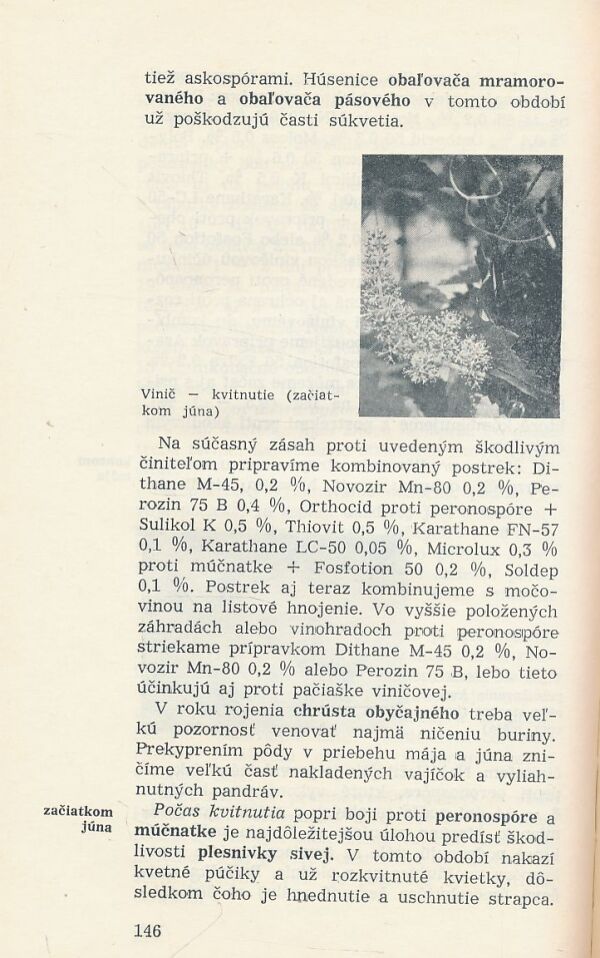 K. Balázsová: Kalendár ochrany rastlín v záhradke