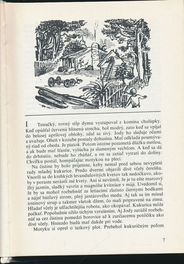 Kinnan Marjorie Rawlingsová: Dieťa divočiny