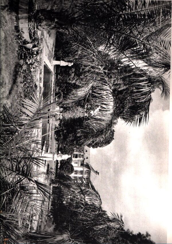 Karol Plicka: SLOVENSKO VO FOTOGRAFII KAROLA PLICKU