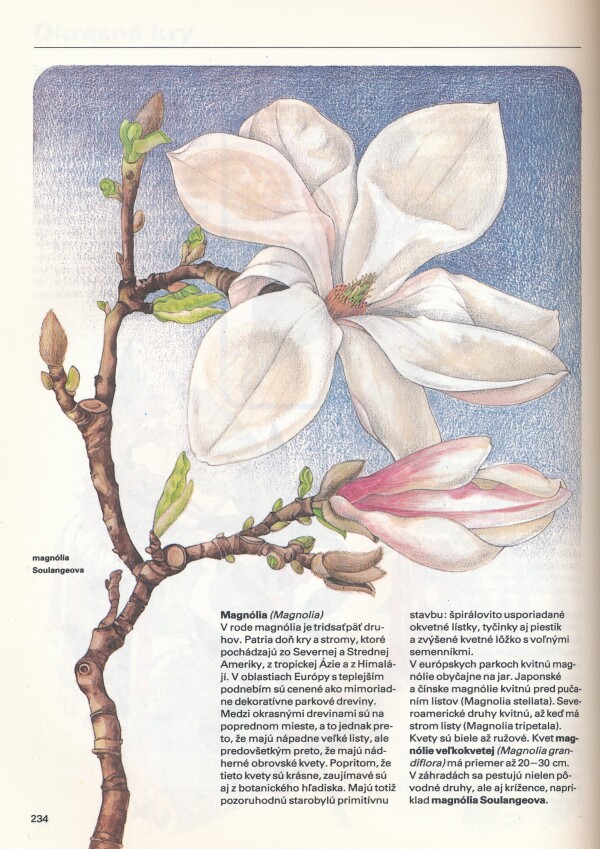 Jaroslav Bauer, Zdenka Podhajská, Luděk Dobroruka: PESTRÁ PRÍRODA