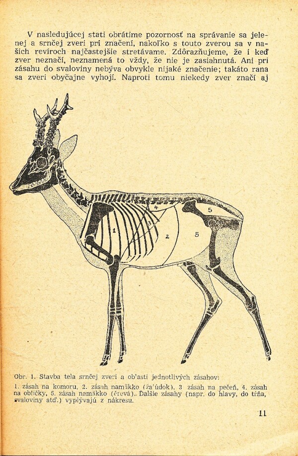 Alois Mikula: PRÍRUČKA PRE POĽOVNÍCKU PRAX