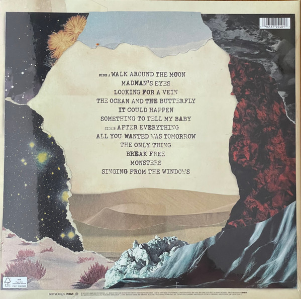 Dave Mathews Band: WALK AROUND THE MOON - LP