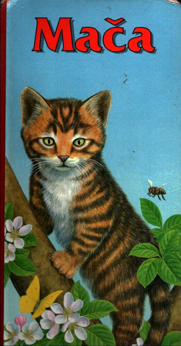 MAČA