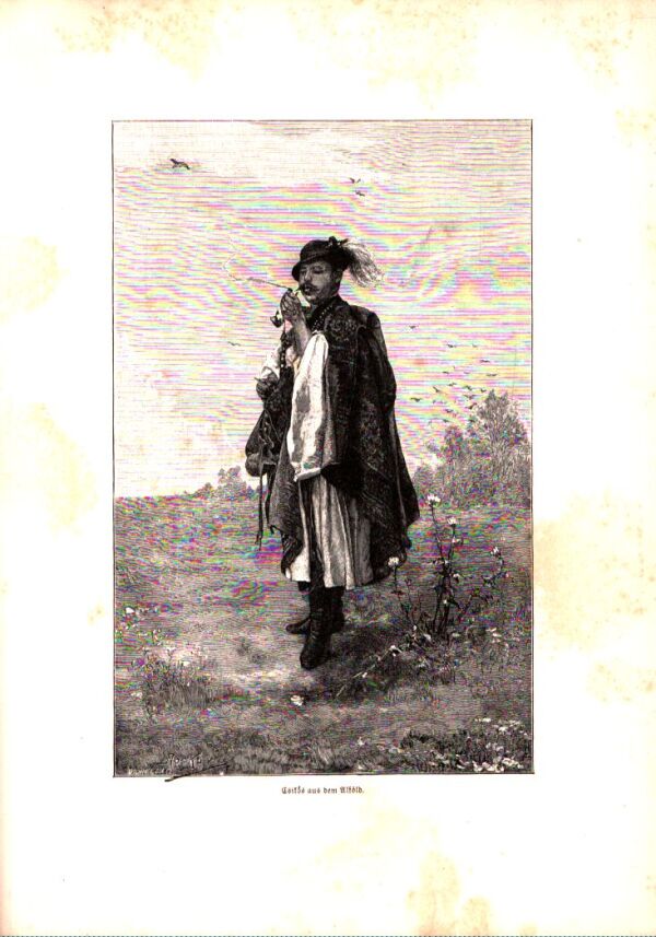 DIE ÖSTERREICHISCH-UNGARISCHE MONARCHIEN IN WORT UND BILD