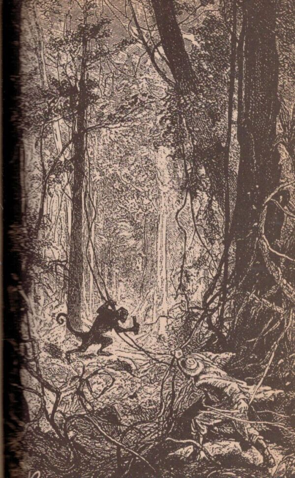 Jules Verne: OSEMSTO MÍĽ PO AMAZONE