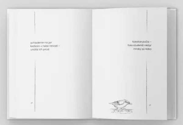 Peter Hotra: PEŠO POPRI RIEKE