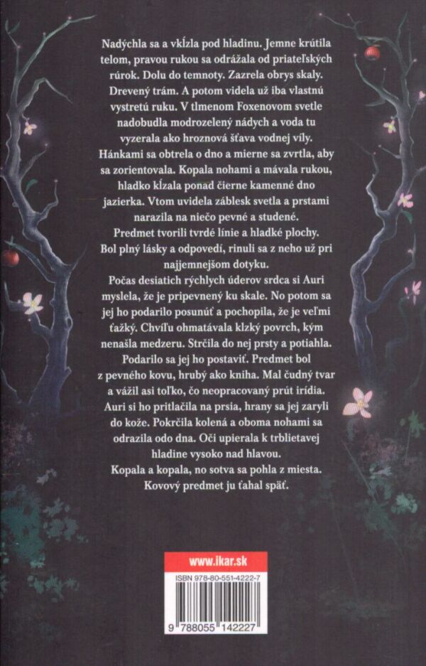 Patrick Rothfuss: POMALÉ SKÚMANIE TICHA