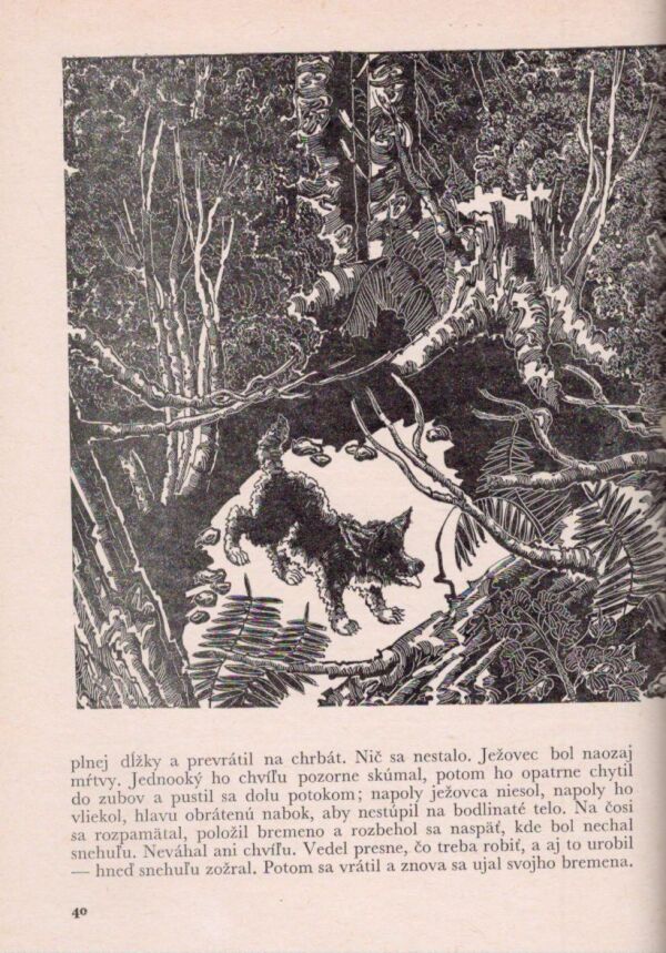 Jack London: BIELY TESÁK. VOLANIE DIVOČINY