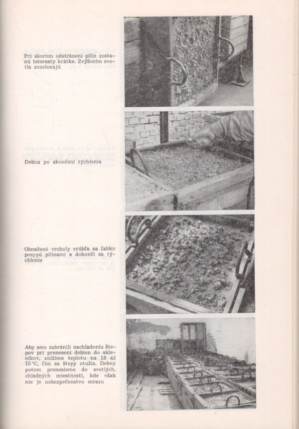 S. Musil, J. Menšík: VINOHRADNÍCTVO A VINÁRSTVO