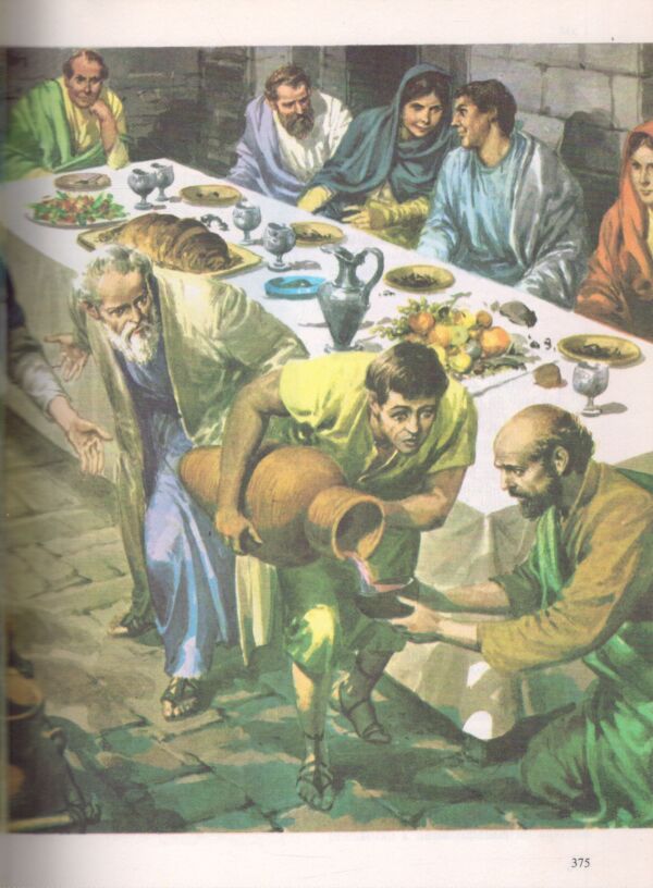 ILUSTROVANÁ BIBLIA