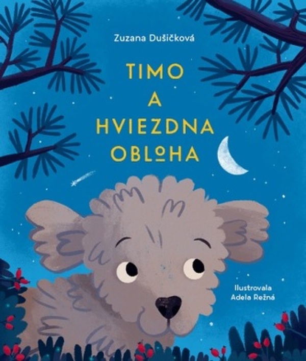 Zuzana Dušičková: TIMO A HVIEZDNA OBLOHA