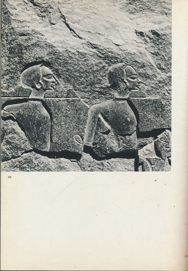 K. Michalowski, A. Dziewanowski: Luxor