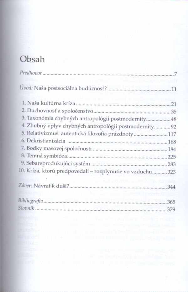Matthew Fforde: DESOCIALIZÁCIA. KRÍZA POSTMODERNITY