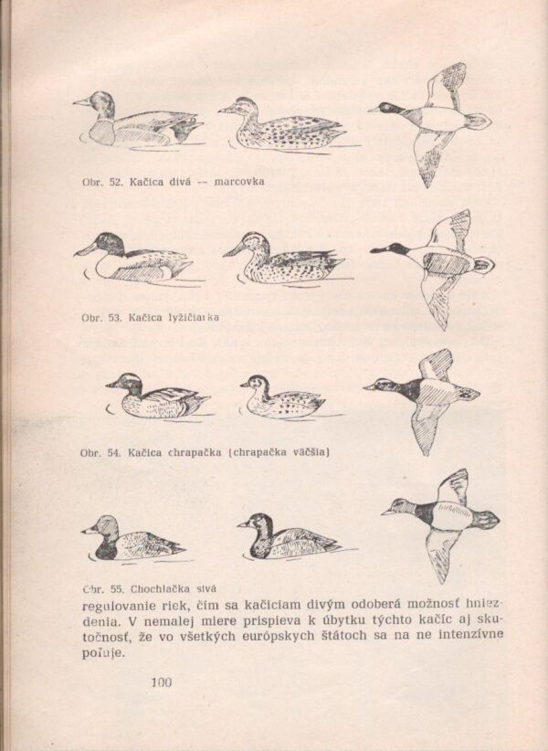 Vojtech Richter, Ladislav Ruman: ZÁKLADY POĽOVNÍCTVA