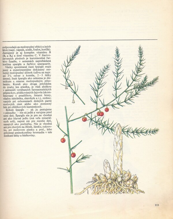 Kresánek, Krejča: ATLAS LIEČIVÝCH RASTLÍN A LESNÝCH PLODOV