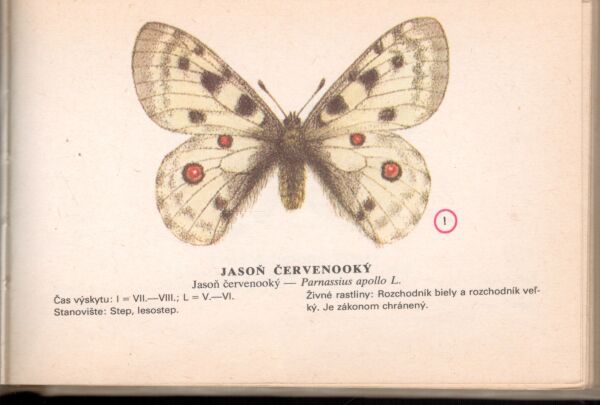 Ilja Okáli, Ján Švec: NAŠE MOTÝLE