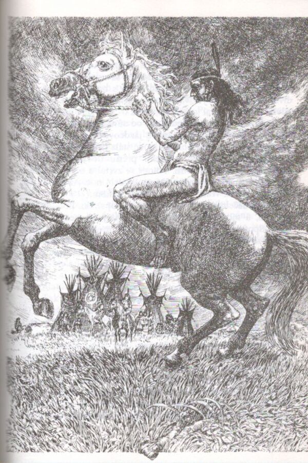 Liselotte Welskopfová-Henrichová: NÁVRAT K DAKOTOM