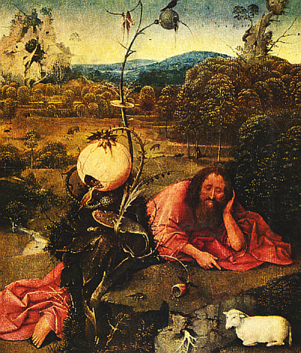 Hana Volavková: HIERONYMUS BOSCH