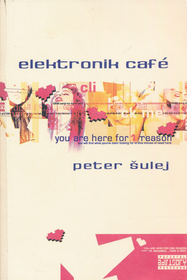 Peter Šulej: Elektronik café