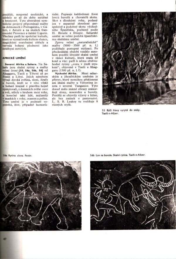 UMĚNÍ PRAVĚKU A STAROVĚKU