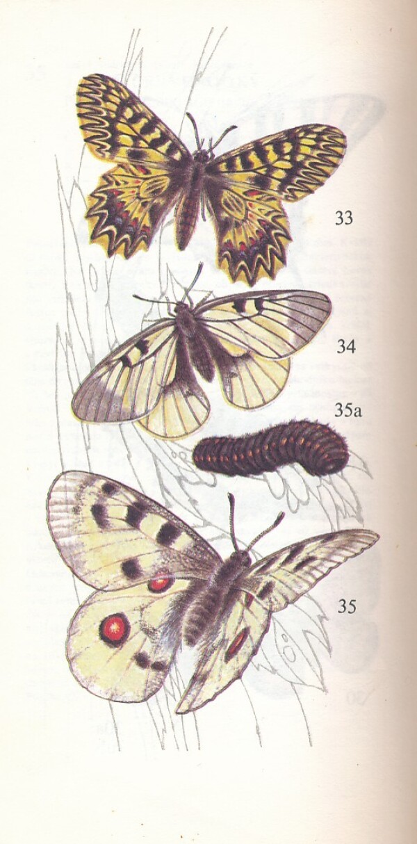 ATLAS CHRÁNENÝCH ŽIVOČÍCHOV SLOVENSKA