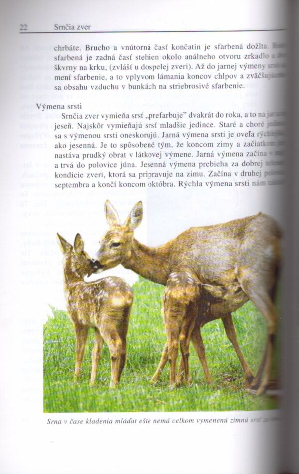 Jozef Herz: SRNČIA ZVER