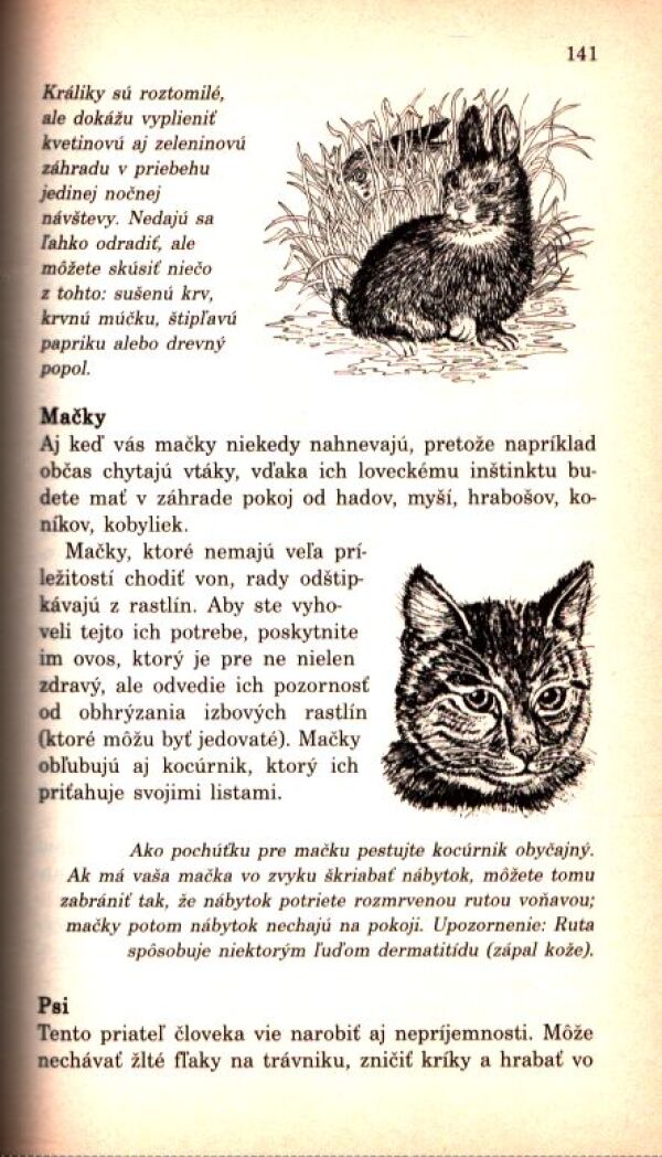 Louise Riotteová: RUŽE ĽÚBIA CESNAK