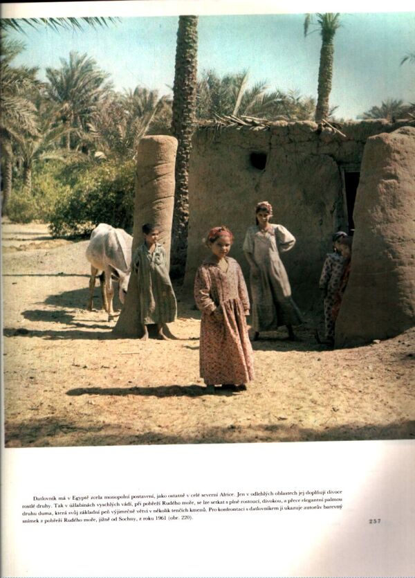 Miroslav Korecký: OBJEVY POD PYRAMIDAMI