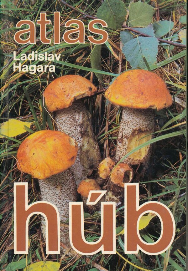 Ladislav Hagara: ATLAS HÚB