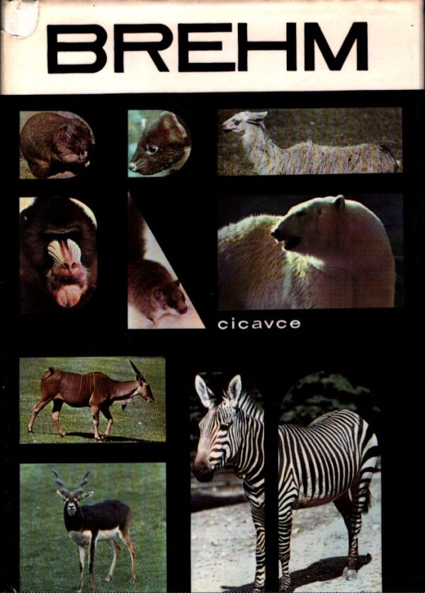 Alfred Edmund Brehm: ŽIVOT ZVIERAT 4 - CICAVCE