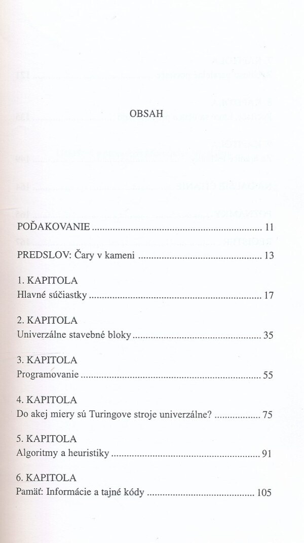 Daniel Hillis: OBRAZCE V KAMENI