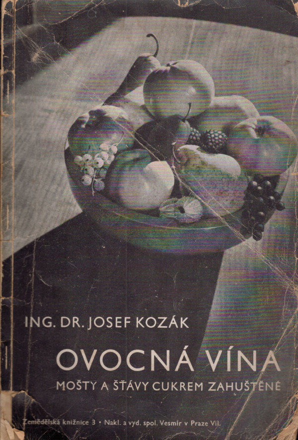 Josef Kozák: