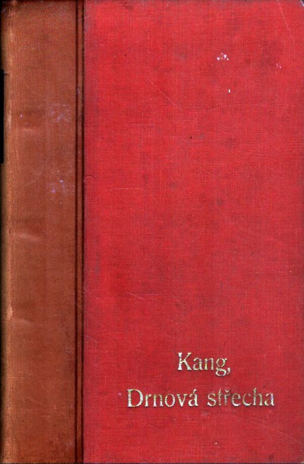 Younghill Kang: DRNOVÁ STŘECHA