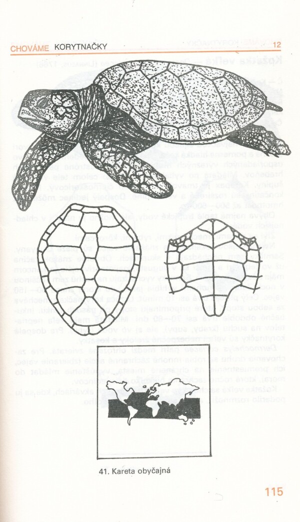 F. Szalay, H. Szalayová: CHOVÁME KORYTNAČKY