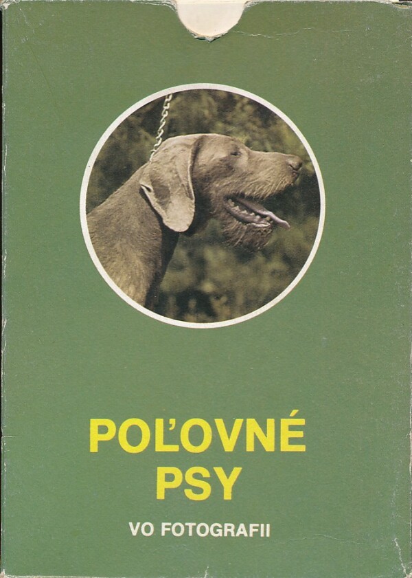 POĽOVNÉ PSY VO FOTOGRAFII