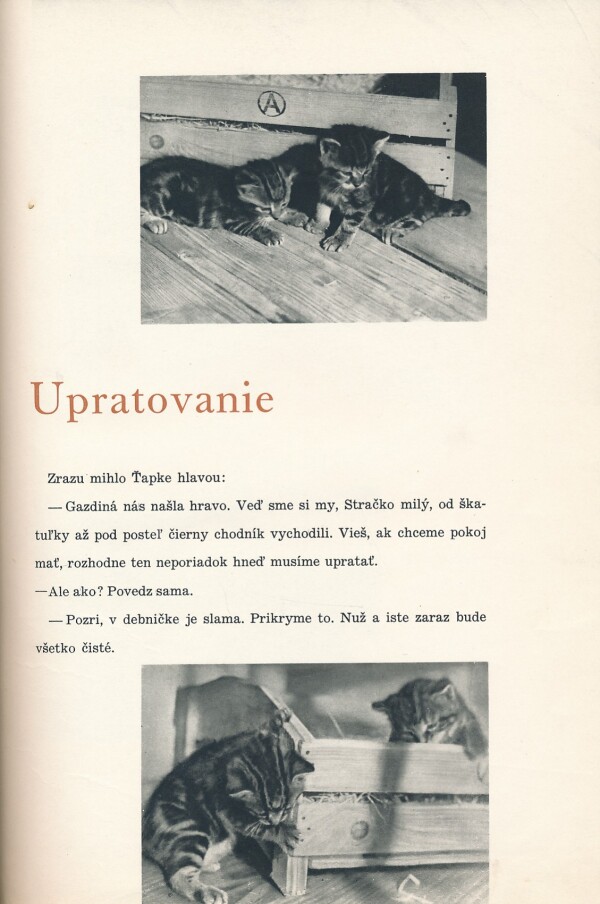 Markovichová: DVE MAČIATKA