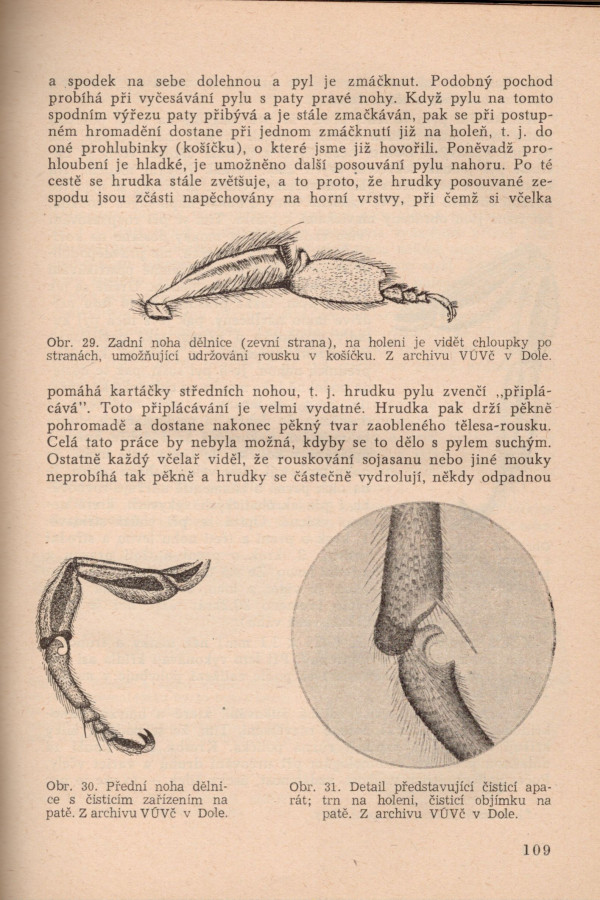 Beránek, Geisler, Lisý, Rošický, Savvin...: VČELAŘSKÁ ENCYKLOPEDIE