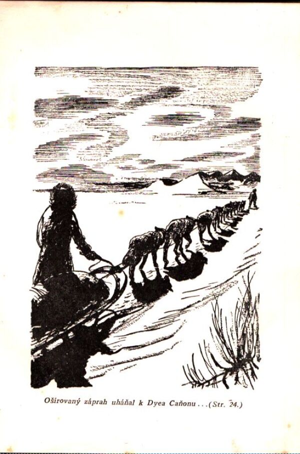 Jack London: VOLANIE DIVOČINY