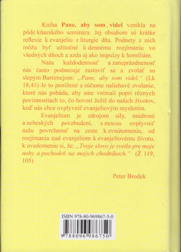 Peter Brodek: PANE, ABY SOM VIDEL I.