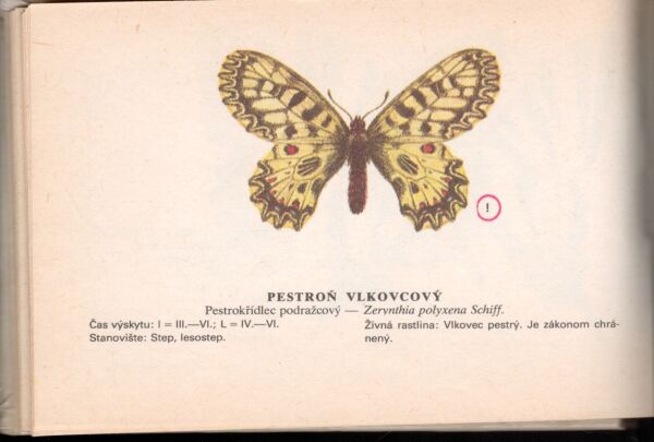 Ilja Okáli, Ján Švec: NAŠE MOTÝLE