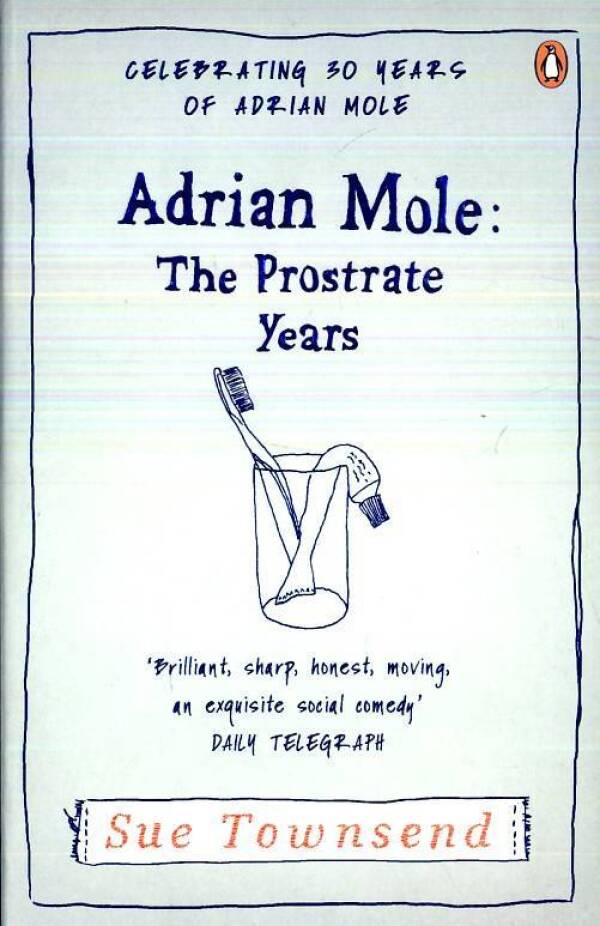 Sue Townsend: ADRIAN MOLE - THE PROSTRATE YEARS