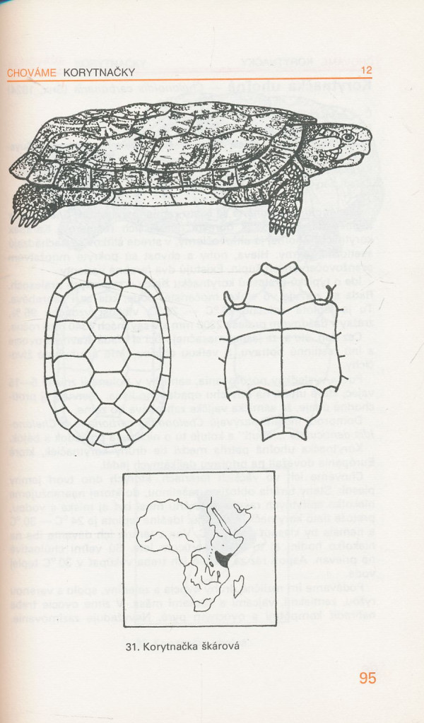 F. Szalay, H. Szalayová: Chováme korytnačky