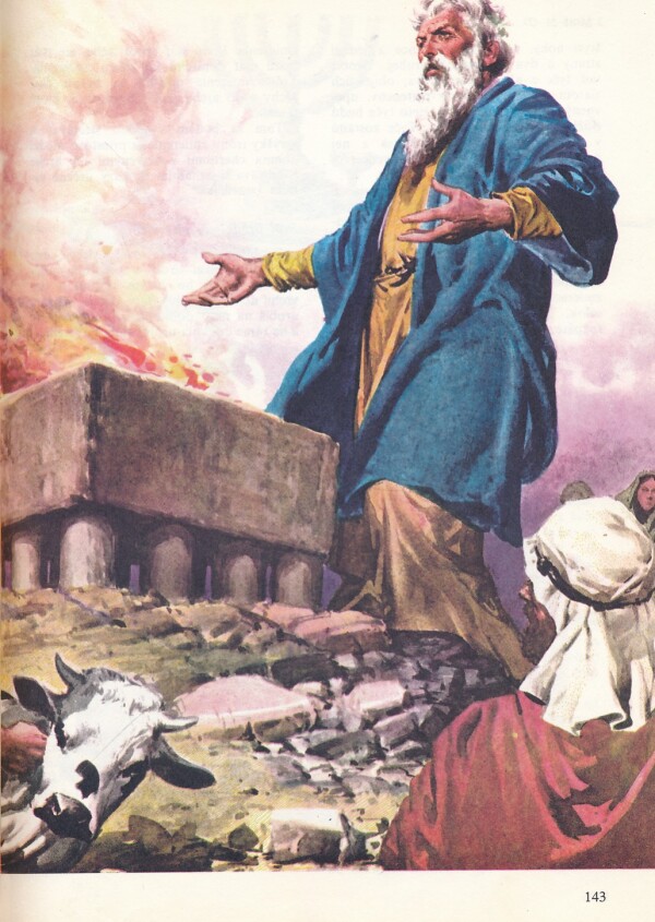ILUSTROVANÁ BIBLIA