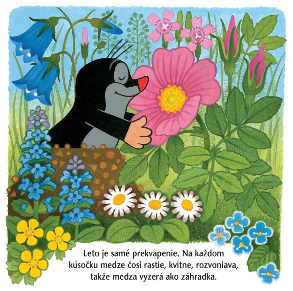 Zdeněk Miler: KRTKO A LETO