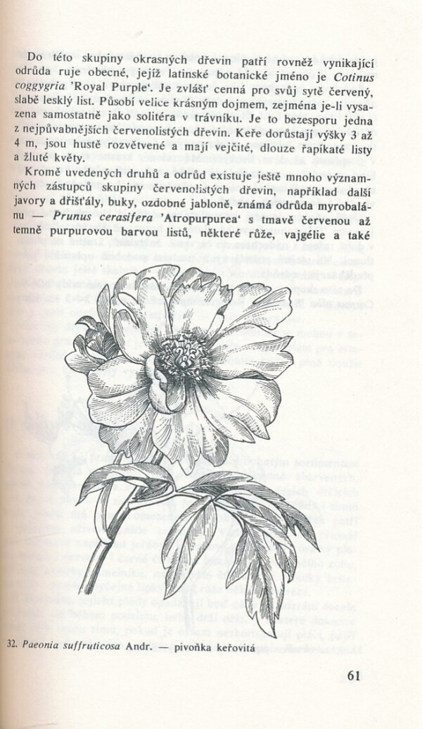 Čestmír Böhm: OKRASNÉ LISTNÁČE NAŠICH ZAHRAD