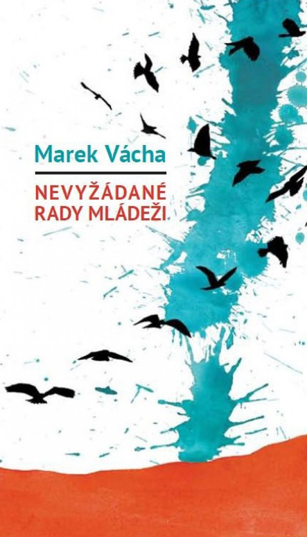 Marek Vácha:
