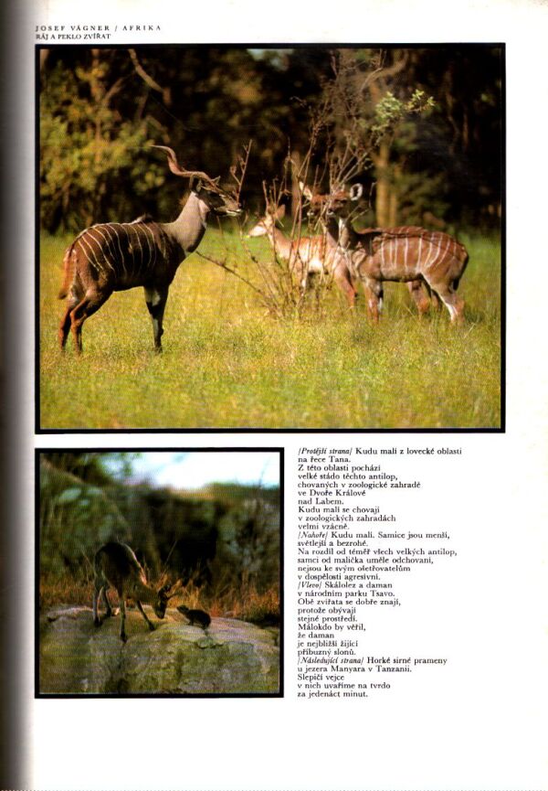Josef Vágner: AFRIKA - RÁJ A PEKLO ZVÍŘAT