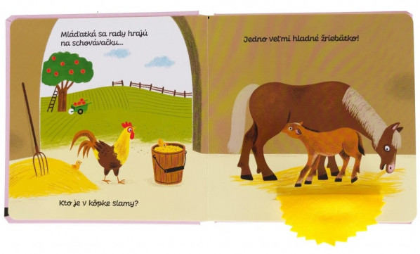 Aurélie Guillerey: SCHOVÁVAČKA S MLÁĎATAMI