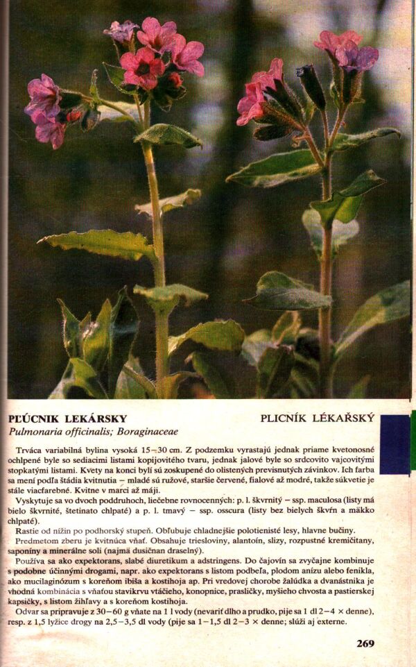 J. Kresánek, D. Dugas: PRÍRUČNÝ ATLAS LIEČIVÝCH RASTLÍN